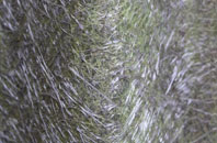 Haverfordwest fibreglass roof work